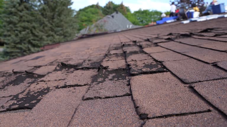 Best Roof Leak Repair  in Firestone, CO