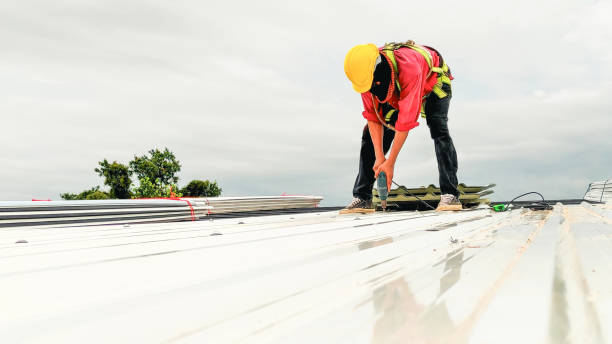 Best Solar Panel Roofing Installation  in Firestone, CO